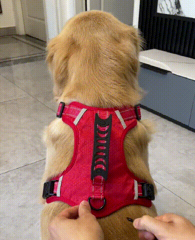 No Pull Dog Harness for Pets
